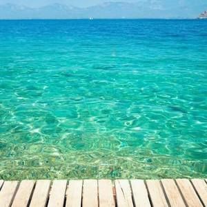 Meet your Posher, Yeeli